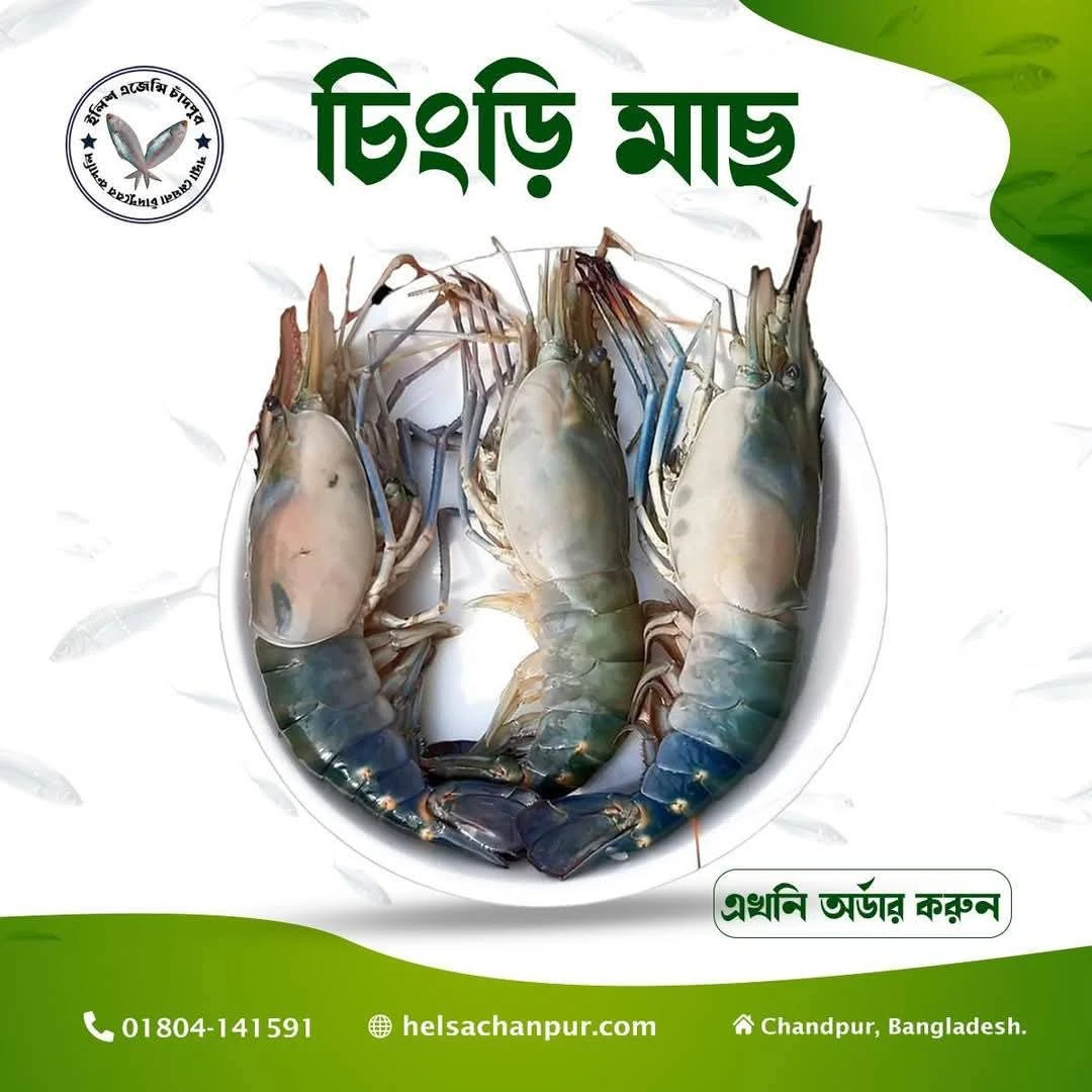 গলদা চিংড়ি